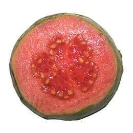 Guayaba fresa